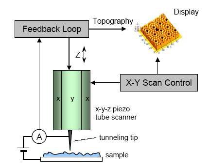 Schematic of AFM