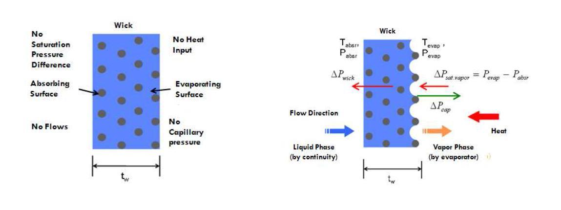 The states of the liquid phase working fluid in the wick and pressure balances