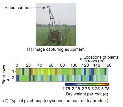 Plant growth map