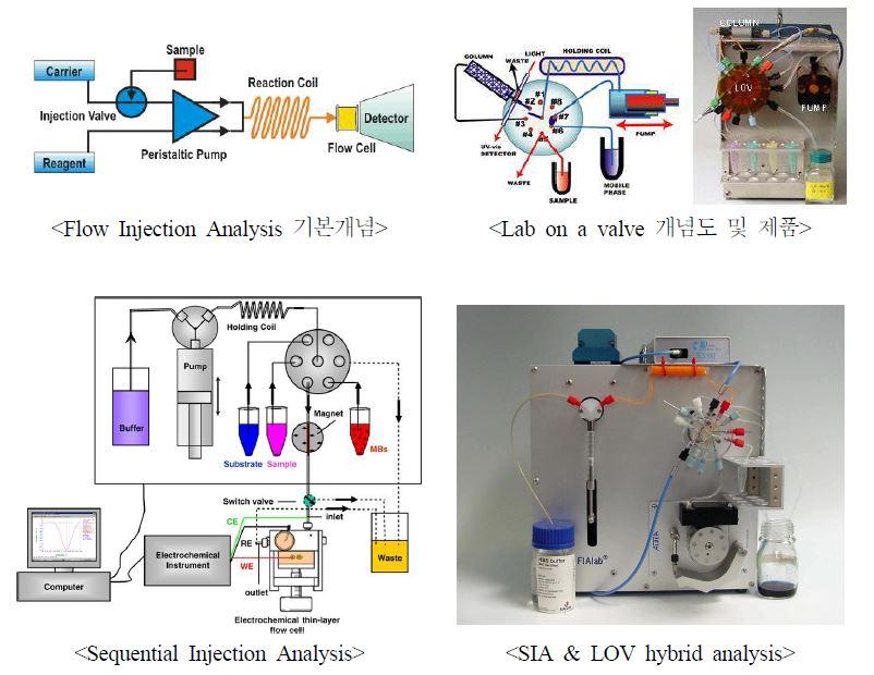 흐름주입방법식 측정방법 및 측정기기