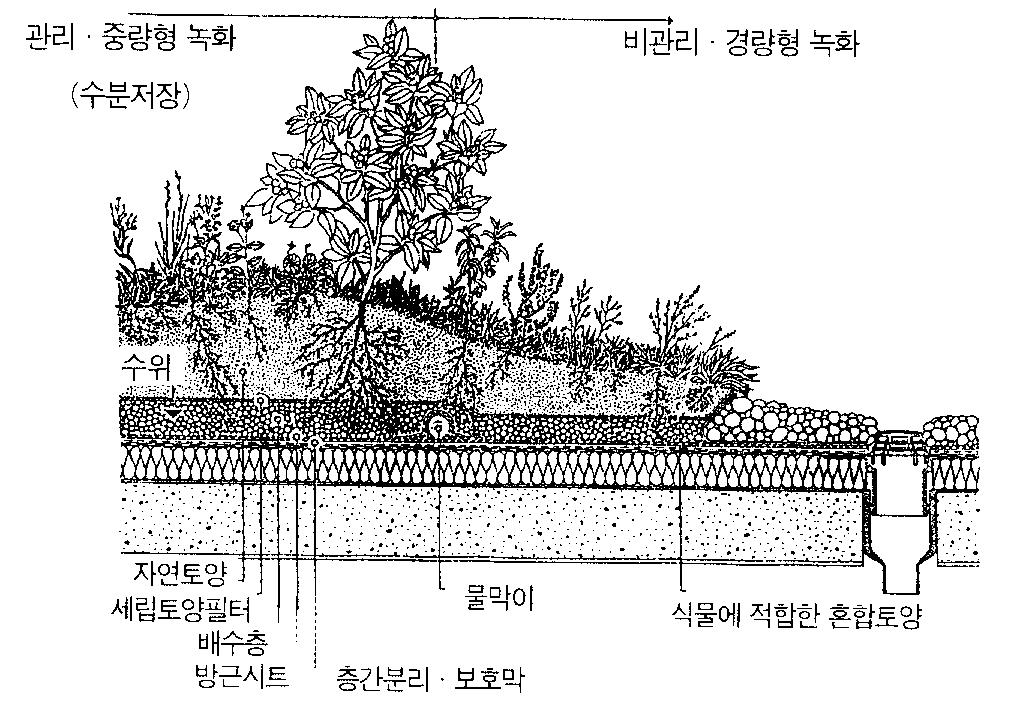 녹화옥상의 구성 사례