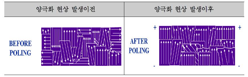 전기 양극화 현상에 의한 분자 구조의 변화