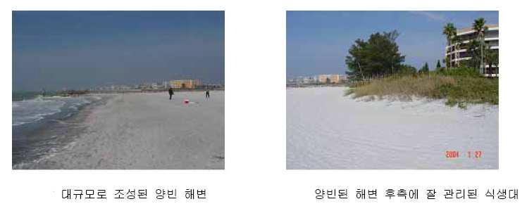 식생대를 잘 갖춘 Clearwater 해변