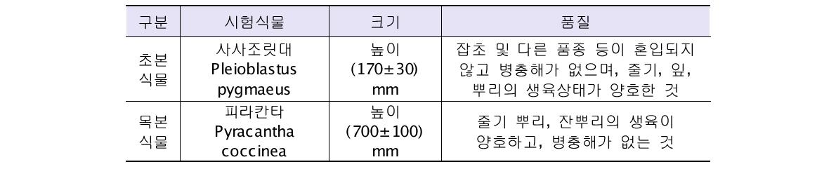 시험용 식물