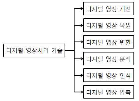 디지털 영상 처리 기술의분류