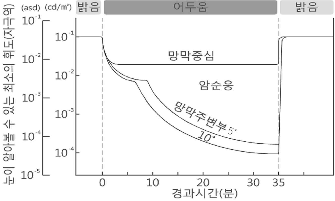 명암순응에 소요되는 시간