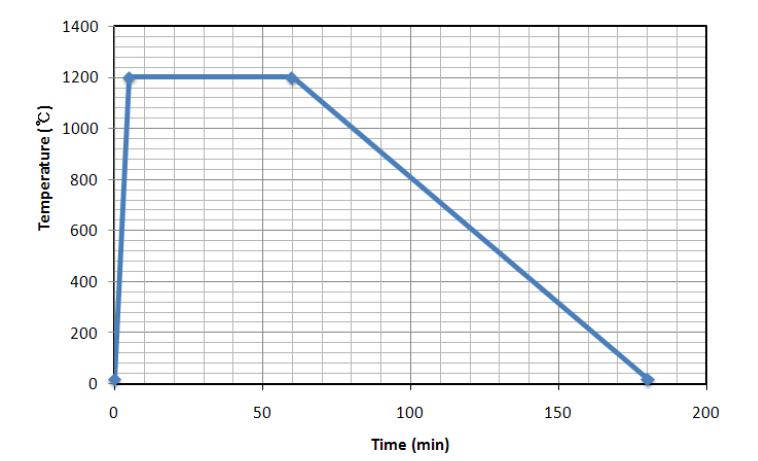 해석에 적용된 RABT 시간-가열온도곡선