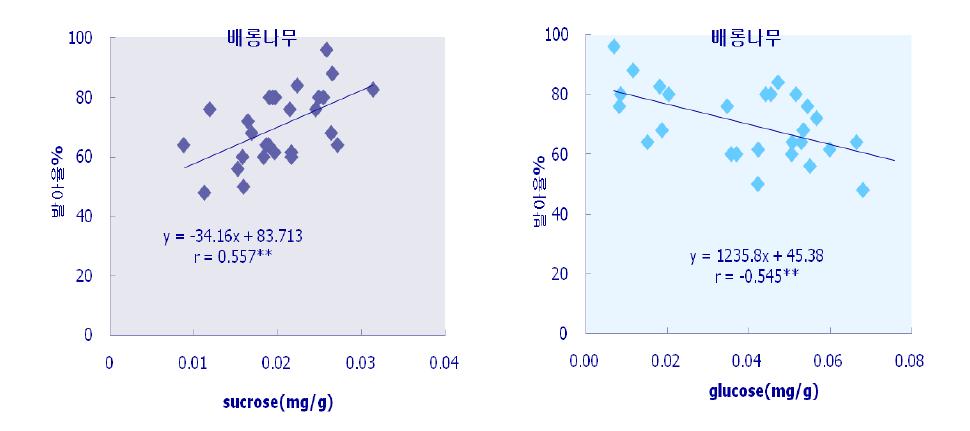 배롱나무의 발아율과 sucrose 및 glucose 함량 변화