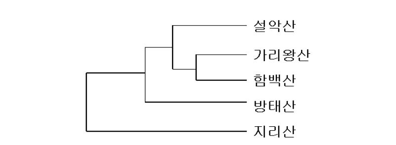 Nei(1978)의 유전적 거리에 의한 땃두릅나무 UPGMA 분석