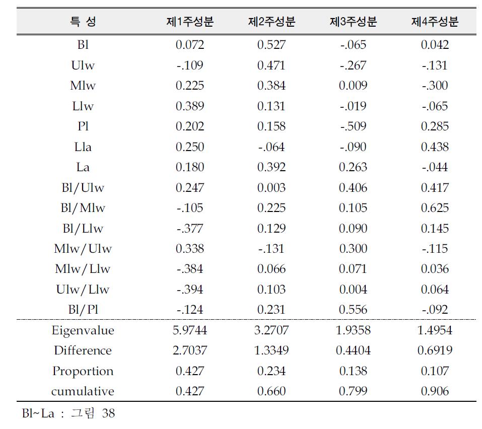 고로쇠나무 엽형특성에 대한 주성분분석