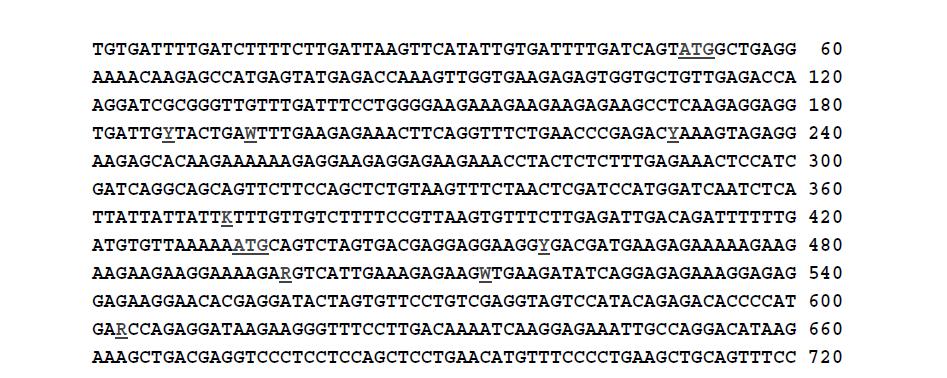 사시나무 dehydrin 유전자의 coding sequence (720 bp)