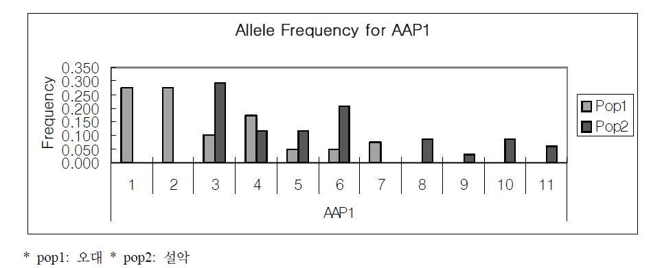 자연집단에서 관찰되는 AAP1 유전자의 대립유전자 분포와 다양성 분석