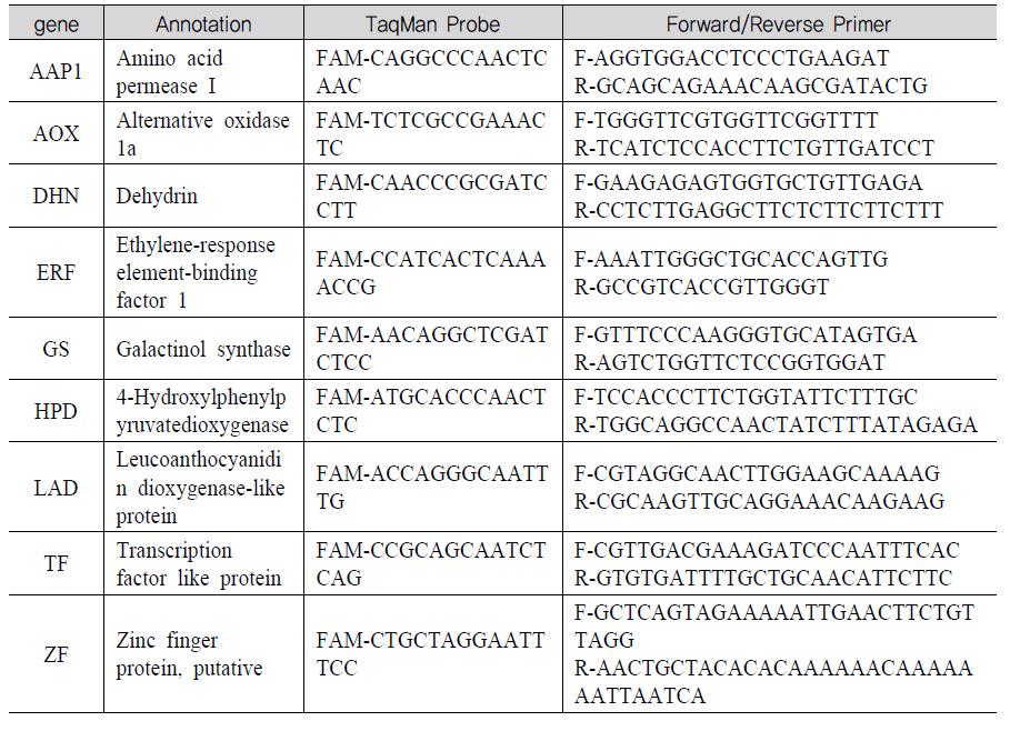 qRT-PCR 분석용 TaqMan probe와 primer 정보