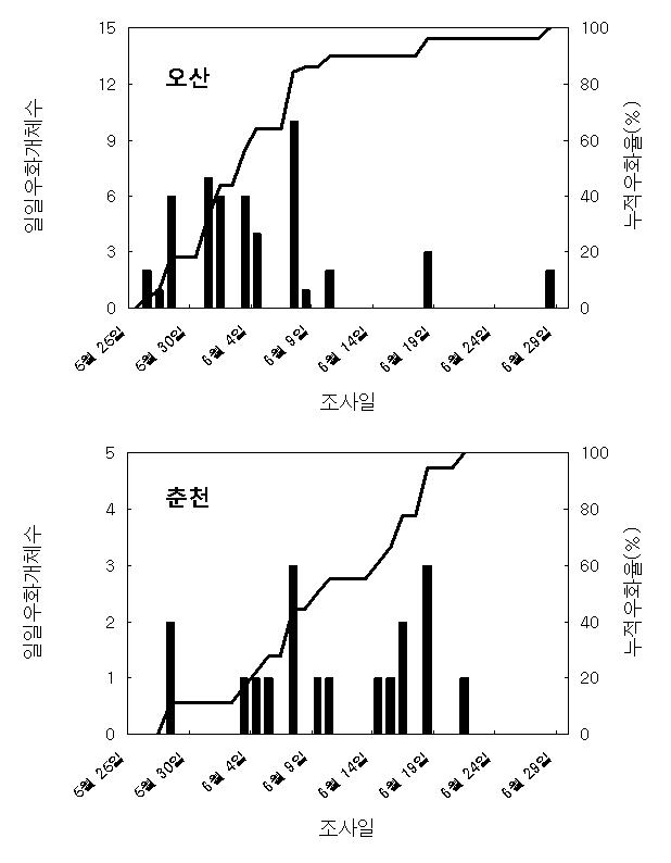 북방수염하늘소 성충의 시기별 우화상황