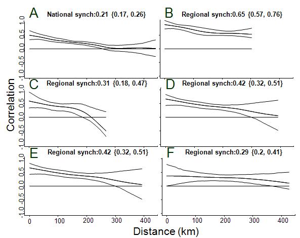 전국 규모 및 각 클러스터별 spatial synchrony 분석결과