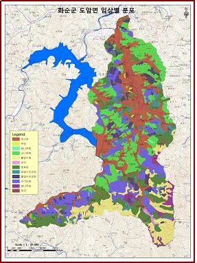 화순군 도암면 임상분포