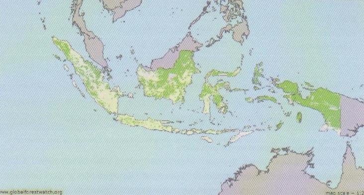 그림 5-2 1997년 인도네시아의 산림피복