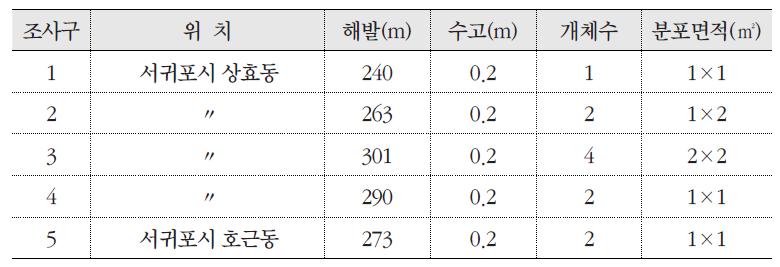 조사구에 따른 만년콩의 분포 현황