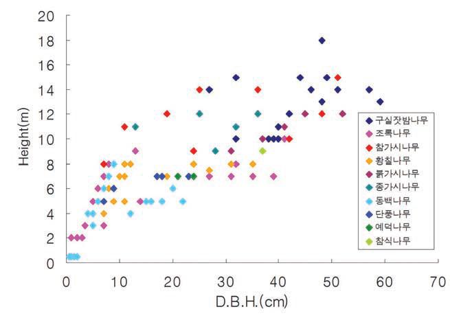 만년콩 군락 내 주요 수종의 수고 및 흉고직경 분포