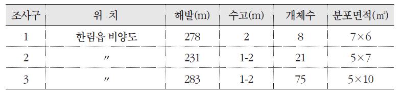 조사구에 따른 비양나무의 분포 현황