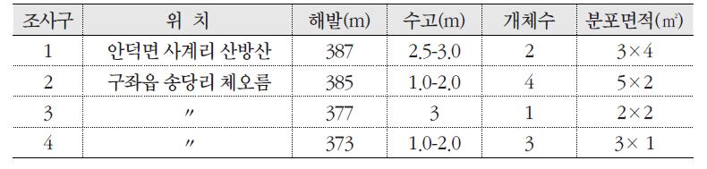 조사구에 따른 소사나무의 분포 현황