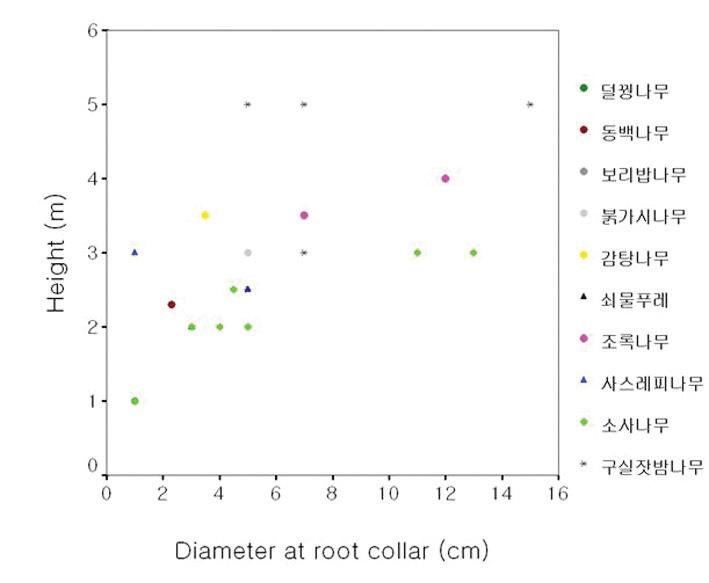 소사나무 자생지 내 주요 수종의 수고 및 근원경 분포