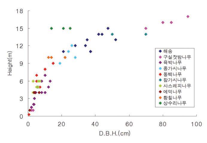 대흥란 군락 내 주요 수종의 수고 및 흉고직경 분포