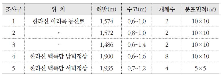 조사구에 따른 섬매발톱나무의 분포 현황