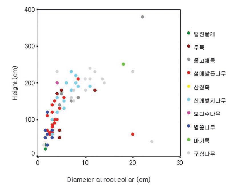 섬매발톱나무 군락 내 주요 수종의 수고 및 근원경 분포