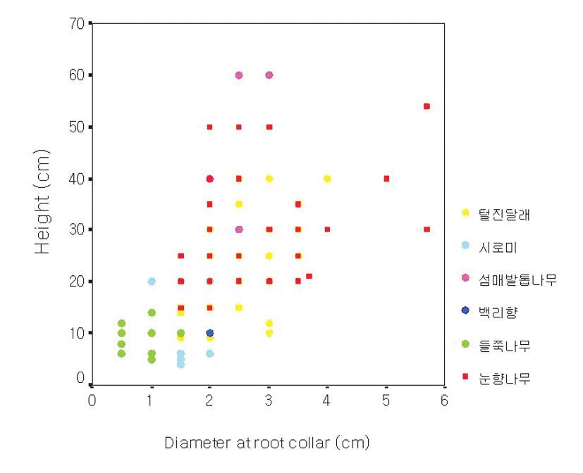 눈향나무 군락 내 주요 수종의 수고 및 근원경 분포