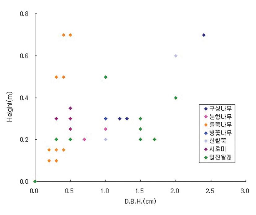 들쭉나무 군락 내 주요 수종의 수고 및 흉고직경 분포