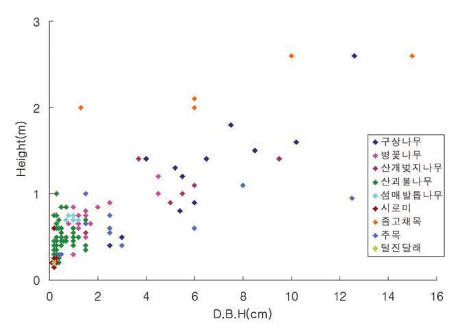 산철쭉 군락 내 주요 수종의 수고 및 흉고직경 분포