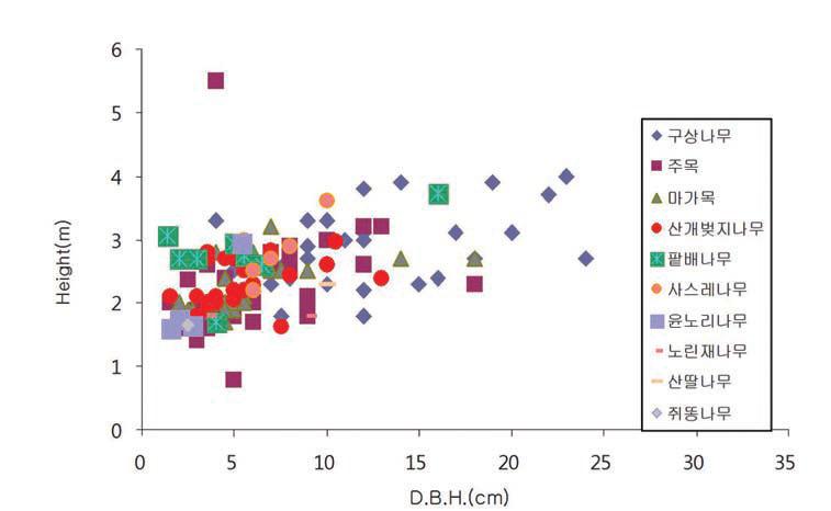 주목 군락 내 주요 수종의 수고 및 흉고직경 분포
