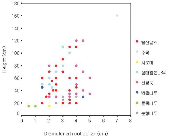 털진달래 군락 내 주요 수종의 수고 및 근원경 분포