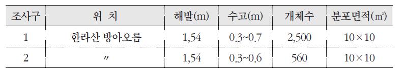 조사구에 따른 게박쥐나물 분포 현황