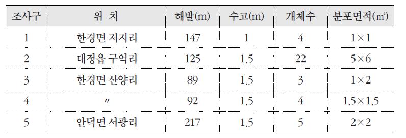 조사구에 따른 빌레나무 분포 현황