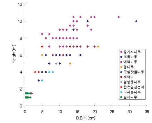 빌레나무 군락 내 주요 수종의 수고 및 흉고직경 분포