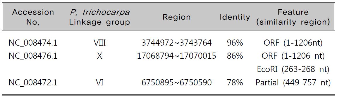 PatPIP1의 P. trichocarpa genome database에 대한 BLASTN 상동성 분석