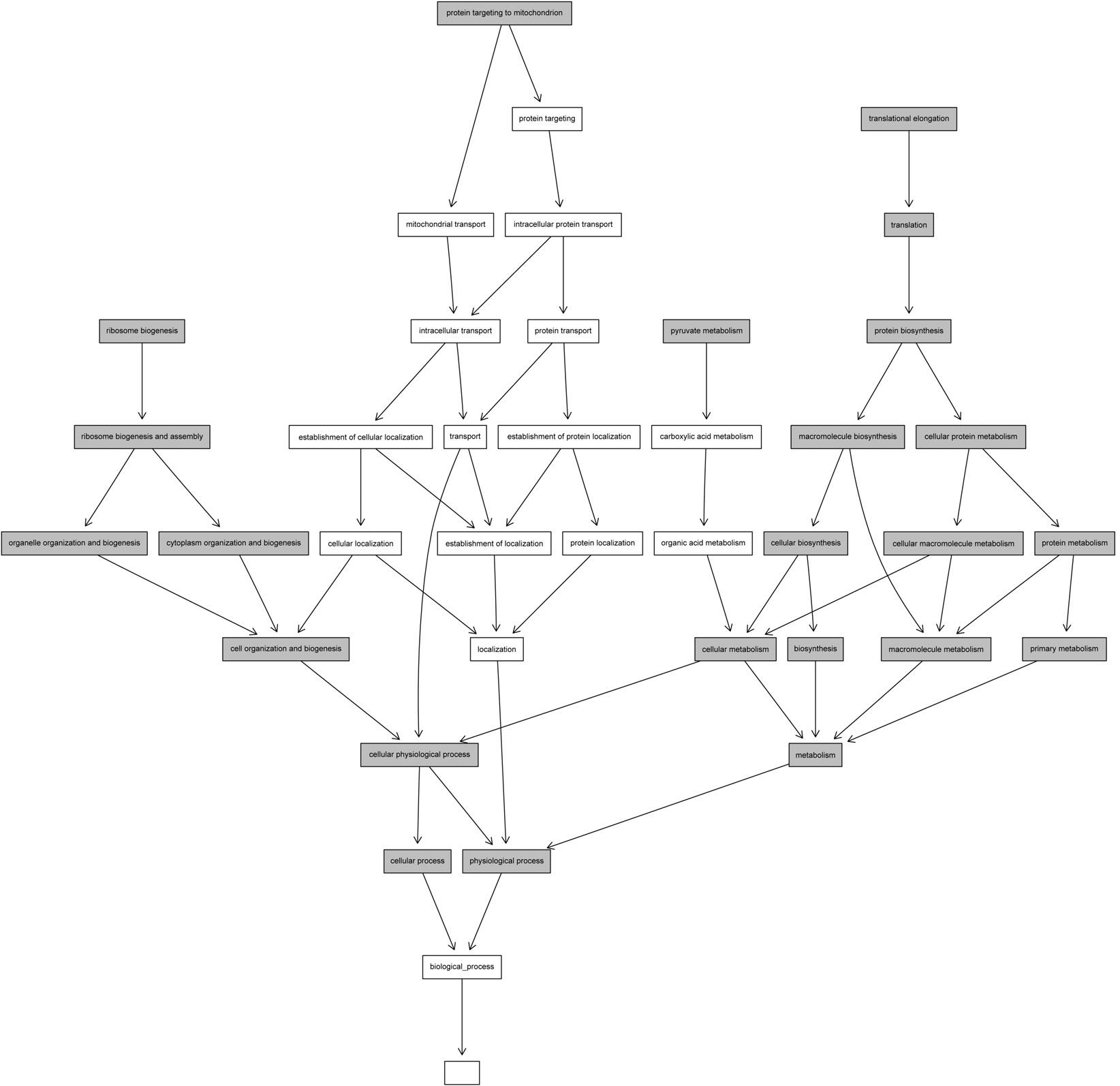 Gene Ontology (GO) 경로 분석. 회색 상자는 유도기에 부각된 GO 생물학적 과정의 범주 그룹을 나타낸다.