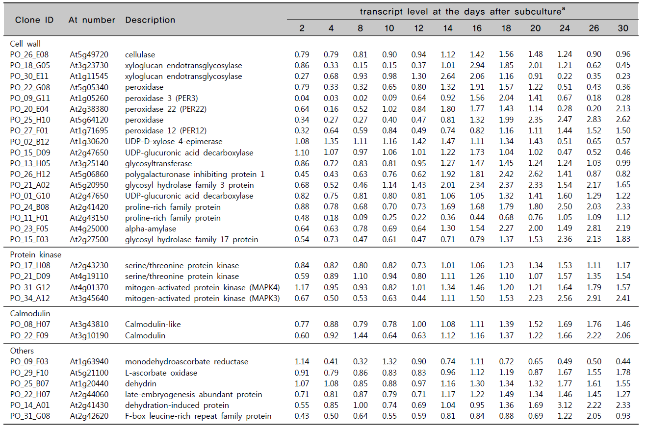세포벽 생합성, protein kinase, calmodulin 등과 관련된 유전자의 발현