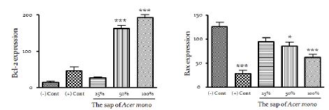 수액처리 농도에 따른 Bcl-2와 Bax의 mRNA 발현량의 변화