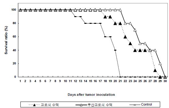 복수암 마우스의 고로쇠수액 투여에 따른 수명기간 비교