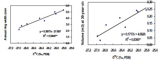 그림 32. 잣나무 가계 평균에 의한 δ13C과 연간 연륜 생장량(좌) 및 30년 수령의 재적 생산량과의 상관관계