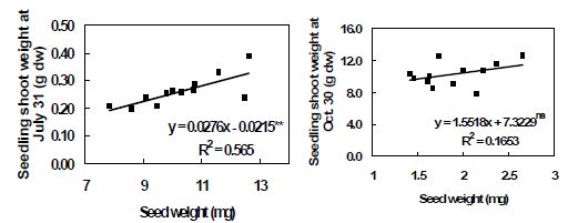 그림 2. 소나무 풍매 종자의 가계별 종자 무게와 가계별 유묘의 건중량간의 관계