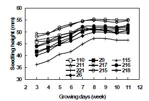 그림 7. 잣나무 가계별 유묘의 생장 기간별 묘고 생장