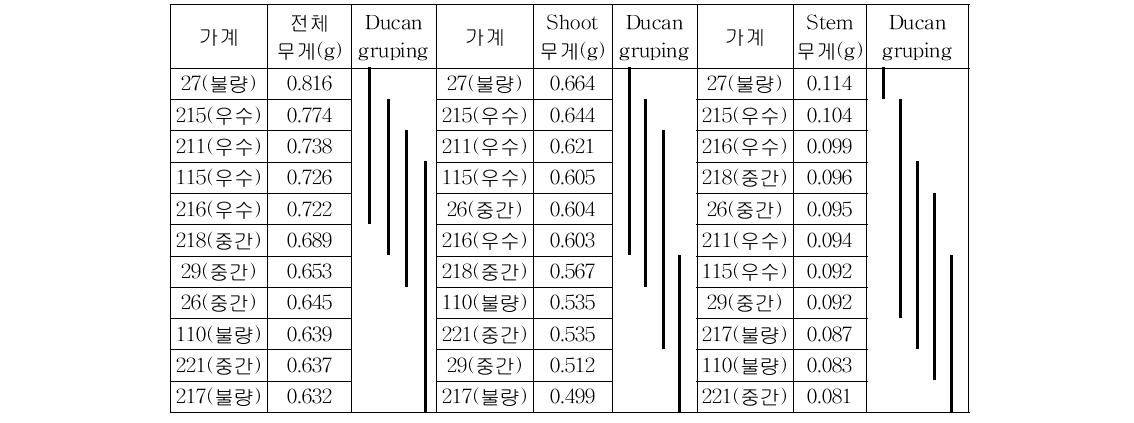 잣나무 선발 가계별 유묘의 생장량 비교(8월 8일 수확)