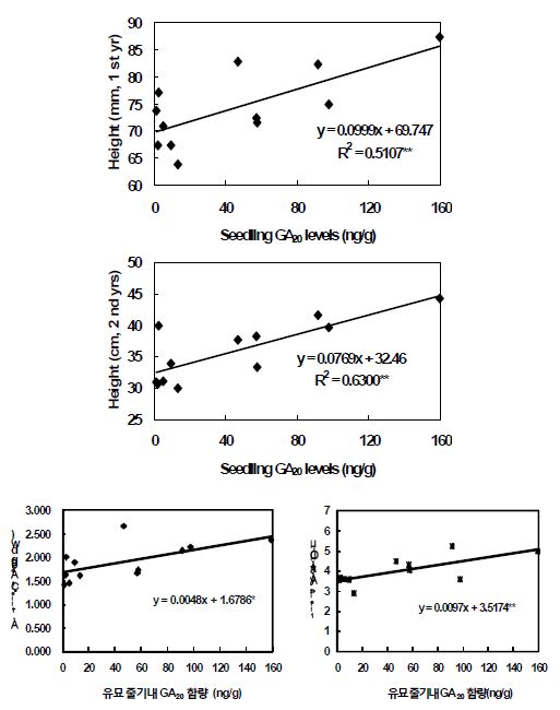 그림 12. 소나무 유묘 줄기내 GA20 함량과 1, 2년생의 묘고 길이, 유묘 건물중 및 묘고 생장속도와의 관계