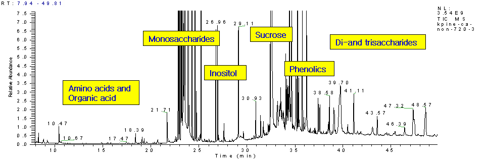그림 22. 소나무 유묘 수용성 추출물의 GC/MS 크로마토그램