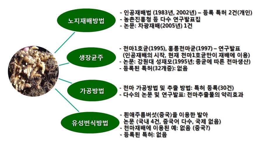 그림 3. 천마관련 국내 연구방향