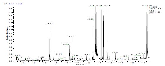 그림 5. 천마 괴경의 수용성 성분 GC/MS chromatography